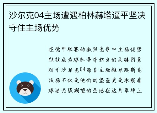 沙尔克04主场遭遇柏林赫塔逼平坚决守住主场优势