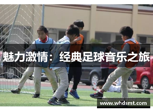 魅力激情：经典足球音乐之旅