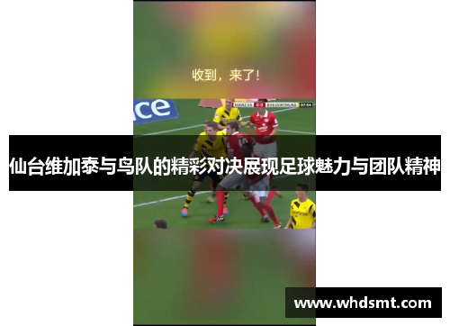 仙台维加泰与鸟队的精彩对决展现足球魅力与团队精神